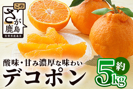 基準クリアの高級柑橘【デコポン】約5kg 不知火 しらぬい でこぽん みかん 蜜柑 ミカン オレンジ 柑橘 フルーツ 果物 贈り物 贈答 プレゼント 高級 ブランド 限定 ギフト B-672