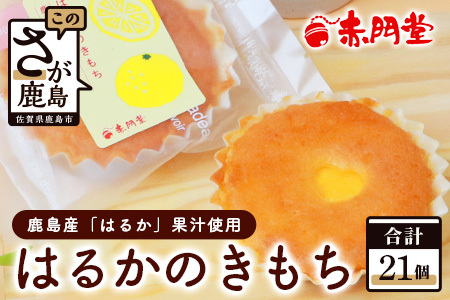 [赤門堂の焼菓子]はるかのきもち 22個 マドレーヌ 焼き菓子 焼菓子 お菓子 郷土菓子 ご当地スイーツ 焼き菓子 焼菓子 贈物 プレゼント ギフト 贈り物 お土産 おやつ