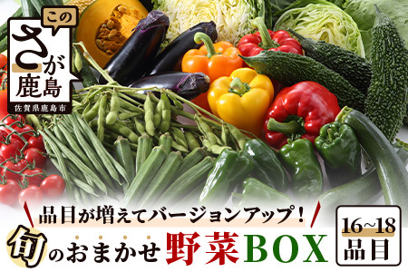 [バージョンアップ]旬のおまかせ野菜BOXセット 16〜18品目お届け 冷蔵配送[ 野菜 果物 旬 セット 詰め合わせ ]B-690