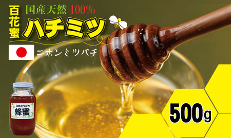 はちみつ(日本蜜蜂)蜂蜜(百花蜜)500g 西山養蜂