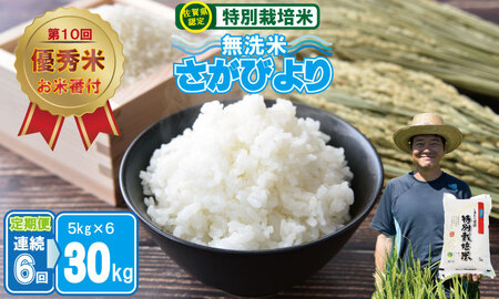 [定期便]連続6回 佐賀県認定 特別栽培米 「農薬:栽培期間中不使用」さがびより 無洗米 30kg(5kg×6 )しもむら農園