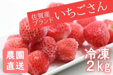 新品種 いちごさん（冷凍2kg）藤川農園 農家 直送品 B140-002