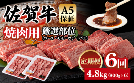 yցzꋍ A5 ēp I 800g 6 v4.8kg(800gx6)  Q126-001 K{Y uh  Ԑg јa ]  lC ꌧ s
