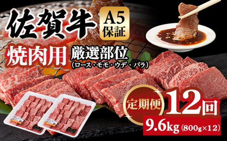 yցzꋍ A5 ēp I 800g 12 v9.6kg(800gx12)  Q252-001 K{Y uh  Ԑg јa ]  lC ꌧ s