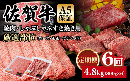 yցzꋍ A5 ēEԂԂĂ I v800gi400g x e1Pj6 v4.8kg(800gx6)  Q126-003 K{Y  uh јa  lC ] ꌧ s