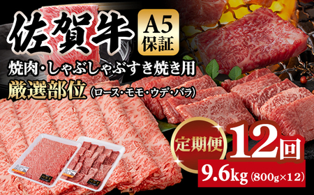 yցzꋍ A5 ēEԂԂĂ I v800gi400g x e1Pj12 v9.6kg(800gx12) Q252-003 K{Y  uh јa  lC ] ꌧ s