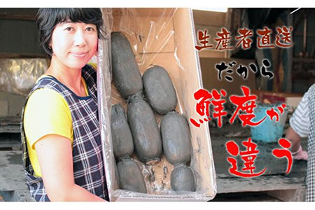 佐賀県産泥付きレンコン（3kg）蓮根 人気 評価 ランキング 高い れんこん A5-052