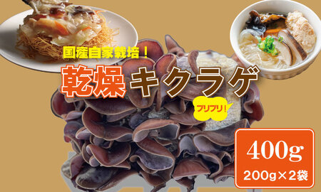 国産 自家製 乾燥 きくらげ （400g）ジョブクリエイト 肉厚 プリプリ キクラゲ 中華料理 ラーメン スープ アクセントに！ B130-053