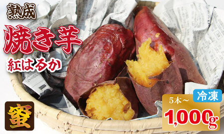 冷凍 焼き芋 紅はるか（1,000g）五時の芋 やきいも 甘い スイーツ ホクホク イモ 冷やしても美味しい 熟成　B110-028