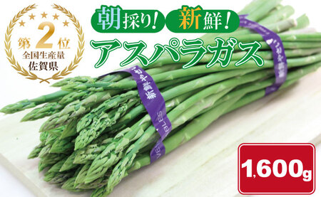 全国生産量 第2位!アスパラガス(1,600g)新鮮採れたて 農家直送 佐賀県産 B170-021 新鮮 アスパラ