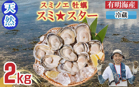 [先行予約][2月配送][天然]有明海産 住之江 冷蔵牡蠣 スミ☆スター 2キロ B120-047-02