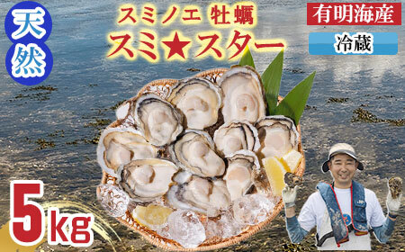 [先行予約][2月配送][天然] 有明海産 冷蔵スミノエ牡蠣 スミ☆スター5キロ C220-010-02