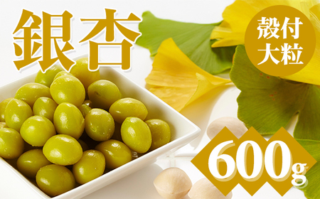 [先行予約]大粒銀杏 (殻付き) 600g 江里口加工所 ぎんなん 旬の食材 銀杏 秋の味覚