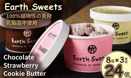 Earth Sweets カップアイス 3種24個セット [竹下製菓 ] アイス クリーム スィーツ チョコレートアイスクリーム アイスバー スイーツ お菓子 バニラ チョコ クランチ 佐賀 九州 限定 小分け 個包装 詰め合わせ アソート 地方 ご当地 お取り寄せ 小分け 包装 人気 ランキング 高評価 送料無料 佐賀県 小城市