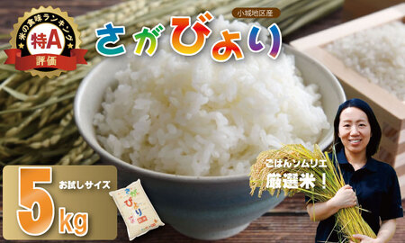 ごはんソムリエ厳選米 佐賀ブランド米 さがびより 「お試しサイズ」[5kg]肥前糧食