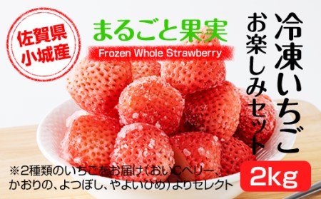 冷凍いちご 苺3kg(500g×6袋) 佐賀県産 スムージー カキ氷 ジャム - www