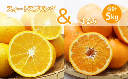 [先行予約]ご家庭用スィートスプリングとはるみセット(5kg)