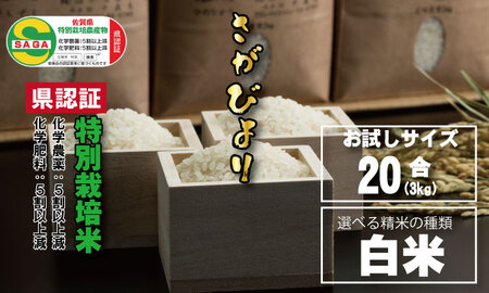 令和6年度産 味試し!さがびより20合(3kg)田中農場 特別栽培米(白米) A065-008 米 さがびより 佐賀 米 人気 米コンクール 人気 佐賀県 小城市