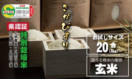 味試し!さがびより20合(3kg)田中農場 特別栽培米(玄米)