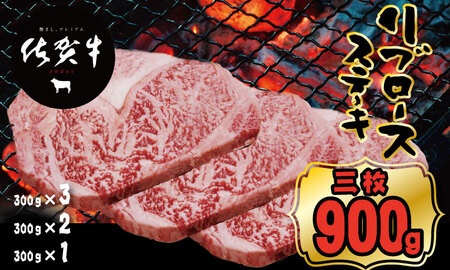 ꋍu[XXe[L300g x 3(v900g)  A5`A4 D310-005