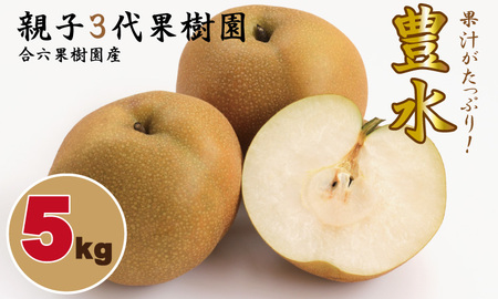 [先行予約開始!]豊水 梨(5kg)親子三世代 農家 合六果樹園