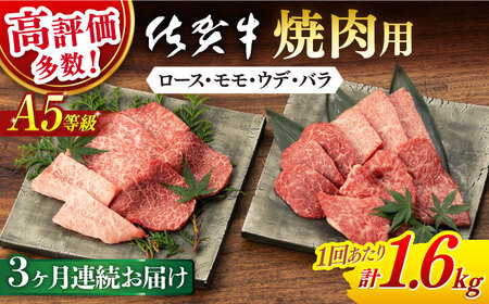 [3回定期便]佐賀牛 牛肉A5焼肉用総計4.8kg NAB429 定期便牛肉