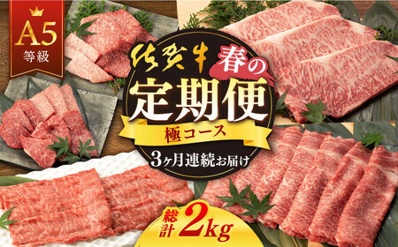 [3回定期便]佐賀牛 春の定期便 極コース [桑原畜産] [NAB103] 佐賀牛 牛肉 定期便 ステーキ 焼肉BBQ すき焼き 佐賀牛 牛肉定期便 ステーキ 焼肉BBQ すき焼き