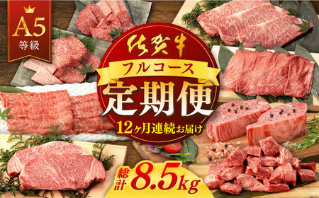 [12回定期便]佐賀牛 フルコース定期便 [桑原畜産] [NAB110] 佐賀牛 牛肉 定期便 佐賀牛食べくらべ 牛肉食べくらべ 佐賀牛堪能 牛肉堪能 佐賀牛定期便 牛肉定期便