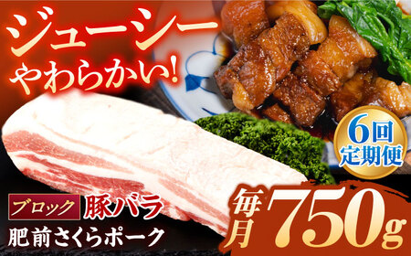 【定期便】 豚肉 ブロック 総計4.5kg NAC614 豚肉 全6回