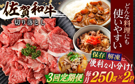 [3回定期便]佐賀和牛 切り落とし 計500g(250g×2p)[一ノ瀬畜産] [NAC162] 牛肉切り落とし 牛肉切り落とし 牛肉切り落とし