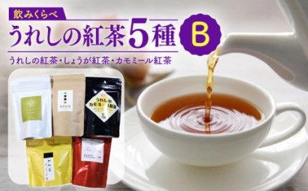 和紅茶ティーバッグ飲み比べセット：B014-033 | 佐賀県佐賀市