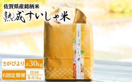 【定期便】 白米 令和7年産さがびより5kg NAO040 全6回 白米