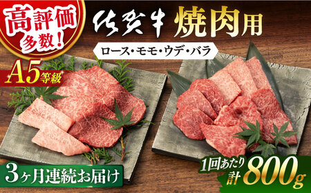 [3回定期便]佐賀牛 A5 焼肉用 800g[桑原畜産][NAB229] 佐賀牛焼肉 佐賀牛焼肉 牛肉焼肉 牛肉 