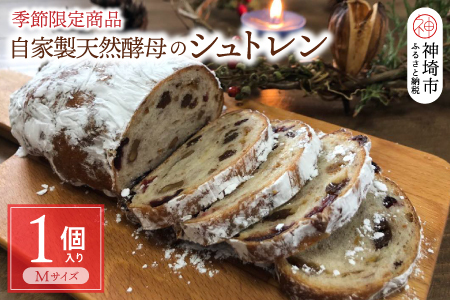 yst 12{JnzƐVRỹVgypƊ̃Rlz (H094128)