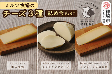 『ミルン牧場のフレッシュなモッツアレラ&熟成チーズ』のセット100g×計5個(H102120)