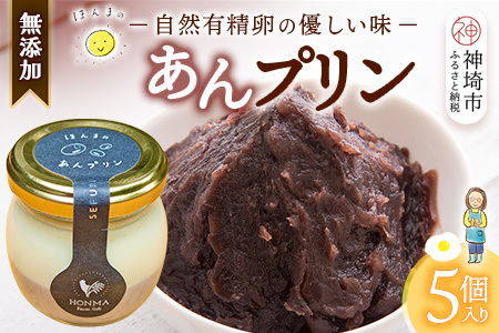 本間農園の無添加あんプリン５個セット 【スイーツ 平飼い 無添加 有精卵 ミルン牧場 牛乳 プリン県 プリンマップ】(H073114)
