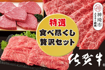 [3回定期便]佐賀牛特選食べ尽くし贅沢セット[佐賀牛 お肉 牛肉 すき焼き しゃぶしゃぶ ステーキ サーロイン](H996P101)