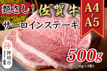 艶さし![A4〜A5]佐賀牛サーロインステーキ 500g(250g×2枚)[肉 牛肉 ブランド牛 黒毛和牛 ステーキ肉 ふるさと納税](H112105)