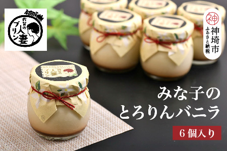 佐賀の人妻プリン[子供に食べさせたいプリン]みな子のとろりんバニラ6個詰合せ[プリン デザート おやつ お土産 手土産 ふるさと納税](H034112)