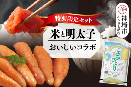 [2回定期便]特別限定セット さがびよりと明太子 おいしいコラボ[米 ブランド米 辛子明太子 たらこ ご飯のお供](H996P111)