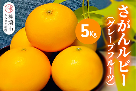 【2026年3月中旬より発送開始】さがんルビー 5kg(グレープフルーツ)【柑橘 フルーツ デザート ジューシー リフレッシュ】(H116149)