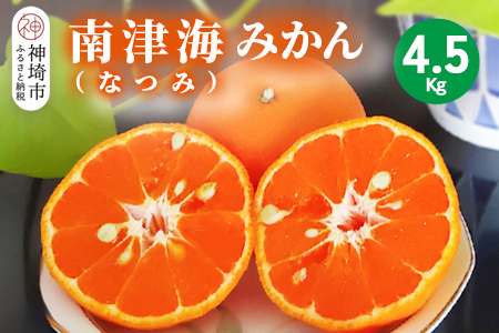 y2026N4{蔭JnzÊC(Ȃ)݂ 4.5kgy݂ k IW |J t[c fU[g ʏ`z(H116156)