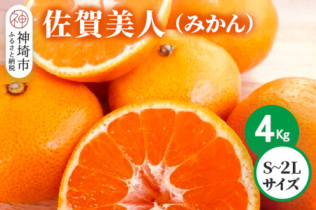 [2025年10月上旬より発送開始]佐賀美人(みかん) 4kg S〜2Lサイズ[みかん ブランドみかん 柑橘 酸味 フルーツ デザート](H116142)