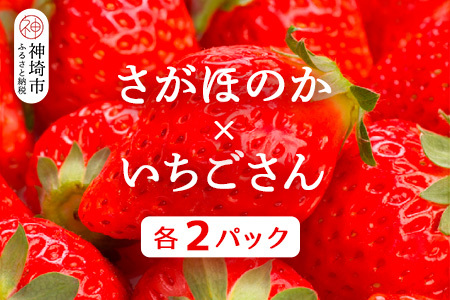 y2026N1{蔭Jnz(ق̂E)e2pbNyʕ  t[c C`S z(H116136)