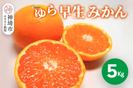 [2025年9月下旬より発送開始]ゆら早生みかん 5kg[みかん 柑橘 フルーツ デザート](H116140)