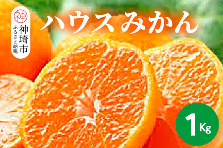 [2026年6月上旬より発送開始]ハウスみかん 1kg[みかん 冷凍みかん 柑橘 フルーツ デザート](H116138)
