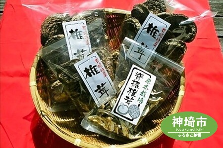 せふり特選椎茸セット [せふり 干ししいたけ 原木](H044122)