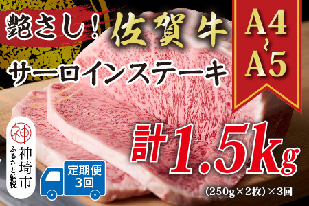 [3か月定期便]艶さし![A4〜A5]佐賀牛サーロインステーキ 500g(250g×2枚)×3回[肉 牛肉 ブランド牛 黒毛和牛 ステーキ肉 ふるさと納税](H112193)