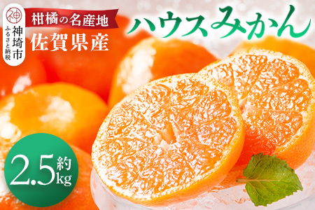 佐賀県産『ハウスみかん』約2500g【果物 フルーツ みかん 柑橘 ビタミン デザート ふるさと納税】(H108115)