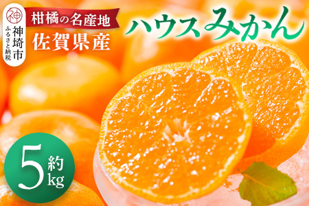 佐賀県産『ハウスみかん』約5000g【果物 フルーツ みかん 柑橘 ビタミン デザート ふるさと納税】(H108116)